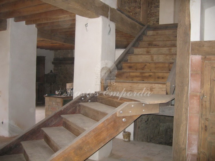 Access ladder to plant