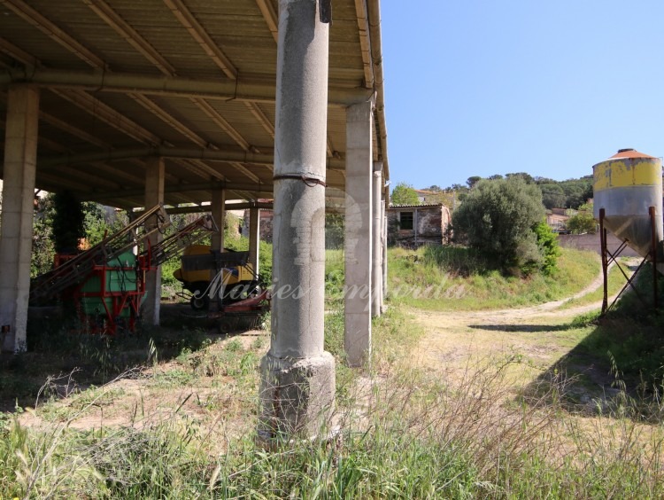 Views of the plots