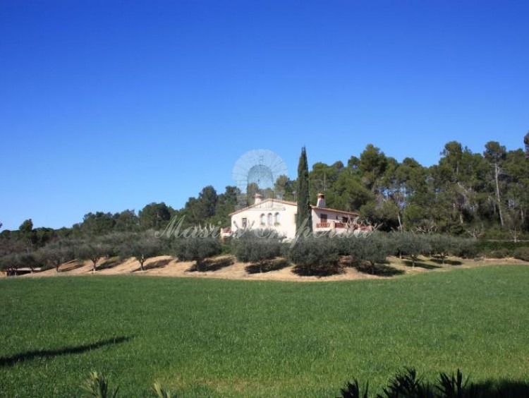 Vista de la masía en venta desde el acceso a ella donde se ve la casa rodeada de olivos y un majestuoso ciprés como atalaya de señalización en Forallach