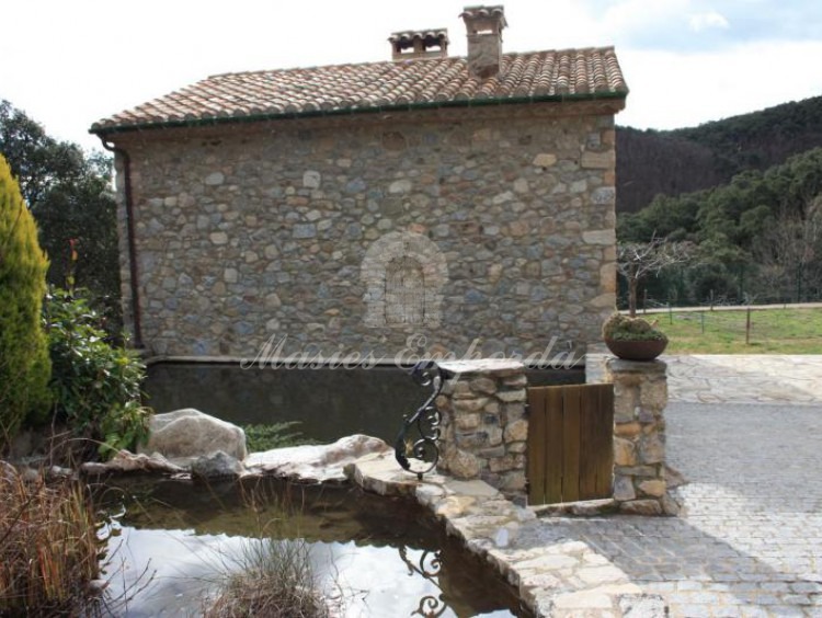 Vista de la fuente y la piscina con la casa de invitados al fondo de la imagen