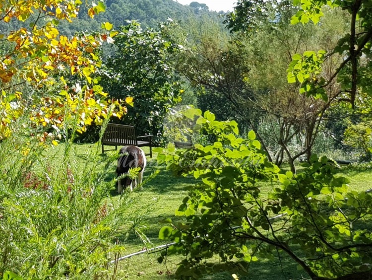 Vista de los jardines de la propiedad