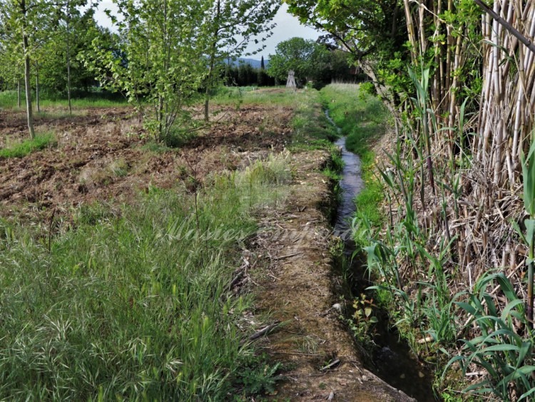 View of the plot and the municipal irrigation channel