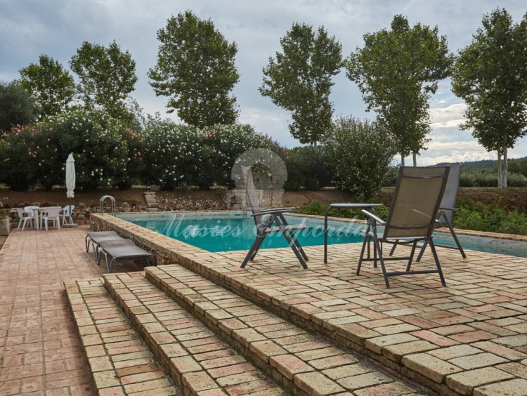 Detalle de la piscina 