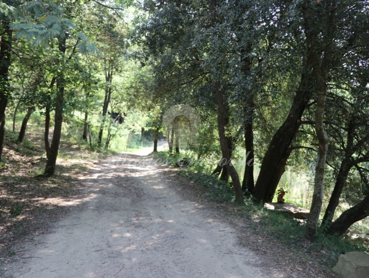 Access road to the property